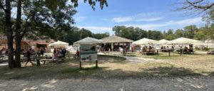 Bar paillotte et snack sur place