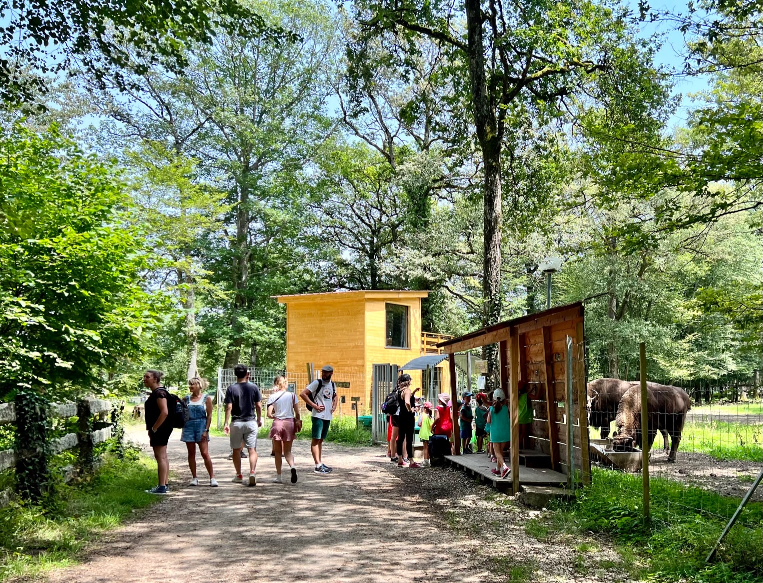 sortie scolaire parc animalier Ain