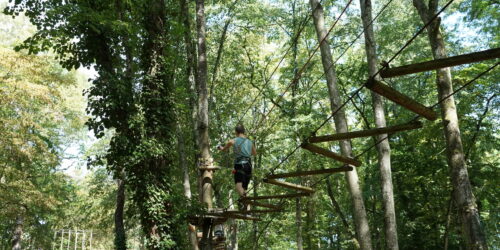 Entre 2 arbres empruntes notre passerelle zigzag pour avancer